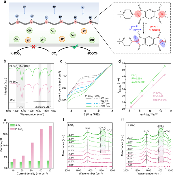 /uploads/image/2025/04/24/622edfe5e0a5625a54df28c858450dd8.jpg 2.jpg