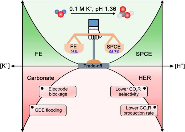 /uploads/image/2025/04/24/983522b66ce30f0f2dc25be108bf2bc2.jpg 1.jpg