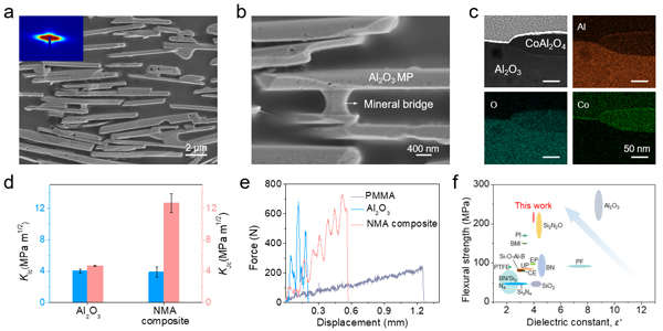 /uploads/image/2025/05/09/123e7f9a514d1c30e88032fe37617223.jpg 2.jpg