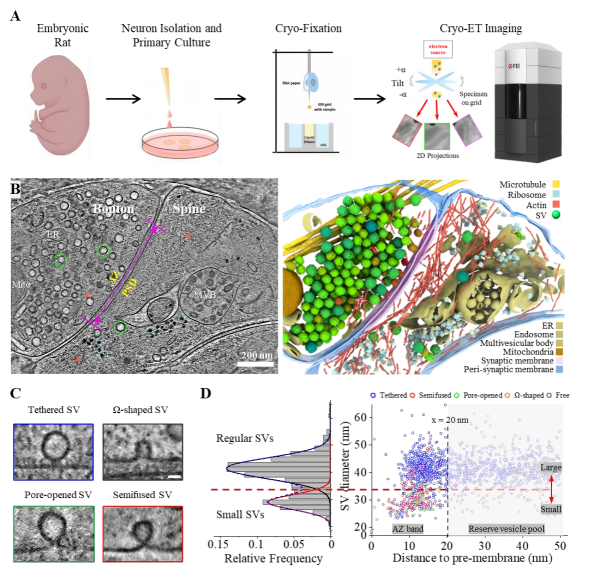 /uploads/image/2025/10/17/9a8123af5701170ef40de942ef7c9457.png D76B1C4747C5971003E0C742137_07F4B6A4_10F76C(1).png