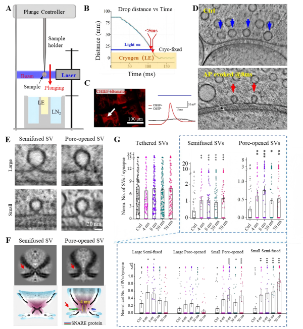 /uploads/image/2025/10/17/2bf37da01f450bfe636828fdd56be9a0.png 15732969AEB35CAB1795CAEB2C0_F2D4B118_90DCD(1).png