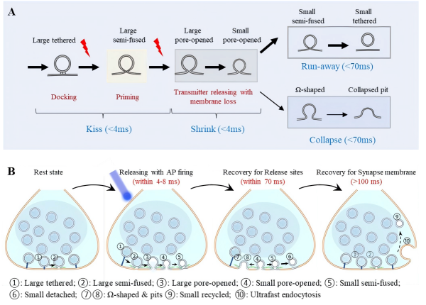 /uploads/image/2025/10/17/d1042a68477e8c7c0ff156ba75c3c917.png 0B4B99A866F19E6969D0257539D_C447735F_4BAE9(1).png