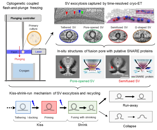 /uploads/image/2025/10/17/0cc4008423741a854bb81dd1b1b8b8b6.png B1FF0BB4F3A3759D07A297F9D46_DE799DA3_54A7F(1).png