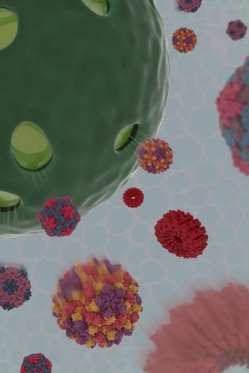 /uploads/image/2020/10/09/35bdf7a2ae86bad846fdadbe978c44cd.jpg /uploads/image/2020/10/09/35bdf7a2ae86bad846fdadbe978c44cd.jpg