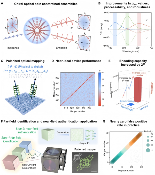 /uploads/image/2025/09/11/8d03ff0044b2f1c126159150eb4eeb28.png 0FF9026E66B76198EEC1EDE8368_49EBB6EE_ECC28(1).png