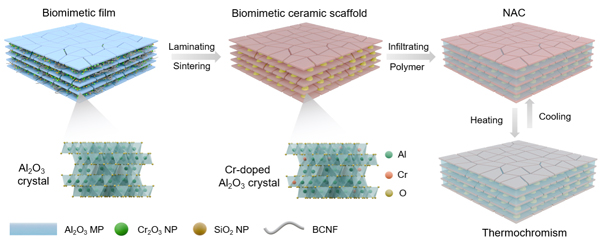 /uploads/image/2025/04/11/ce9a8139bcaf28b84a291c3dd1dde1f5.jpg 1.jpg