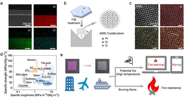 /uploads/image/2025/04/11/e2caff609cae7609e7dc41dc2c007233.jpg 2.jpg