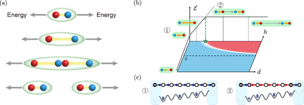 /uploads/image/2025/09/05/24d27a3bbce5f7c81e85e0e53338dfbc.png FC0C805B18A42CF6950E2711C75_F0EDA5B2_31117.png