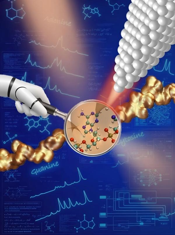 /uploads/image/2025/10/17/ac58042028e4295763ccea24e048de40.jpg E1C371B9791A42AF384D95842E0_01F58262_9A37.jpg