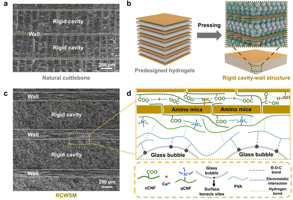 /uploads/image/2025/01/07/e6cefdb3289c47a367c519fadeddb3fa.jpg 1.jpg