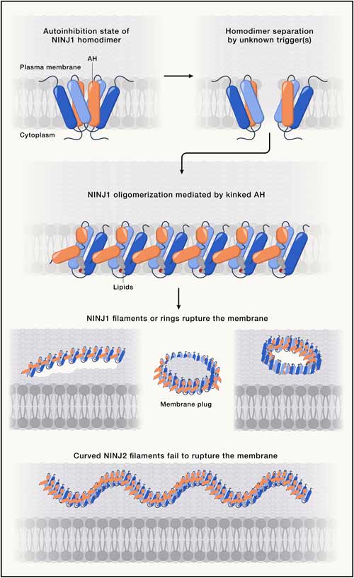 /uploads/image/2025/01/24/9dea221ed56e4df04dbfea3b153657b7.jpg EF922C9D7236DD270C009E010E7_2FAB13D3_3F7509.jpg