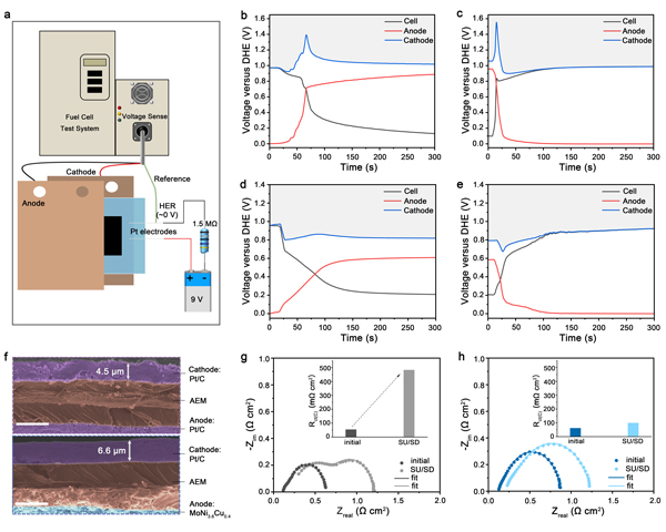 /uploads/image/2025/07/01/9cc4deec91901d77eb86e3547287b68d.jpg 2.jpg