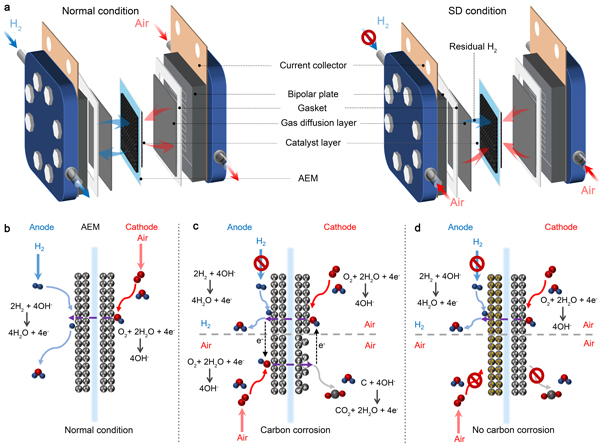 /uploads/image/2025/07/01/f11f34f46ffa7cf7b62f4a8de9f10a6b.jpg 1.jpg