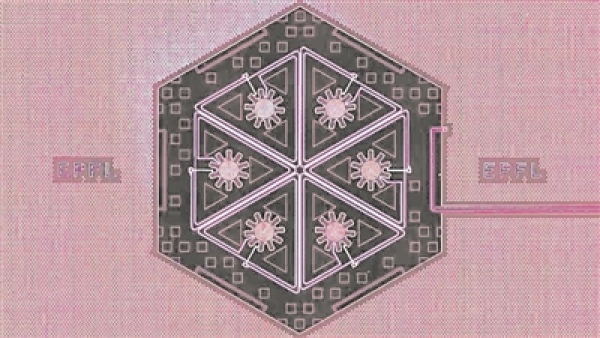 W020241230314598777777.png