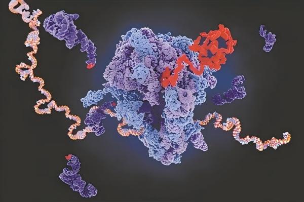 W020250806342033866279_ORIGIN(1).jpg