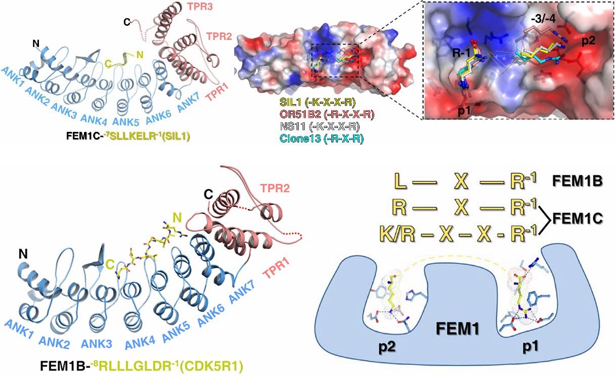 /uploads/image/2021/01/06/b2e566ac3c3a0a9943dda2d2f61405e3.jpg /uploads/image/2021/01/06/b2e566ac3c3a0a9943dda2d2f61405e3.jpg