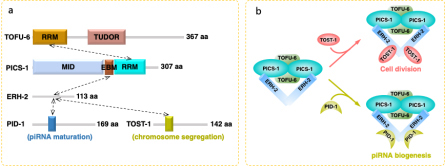 /uploads/image/2021/09/23/4a3142ff01184e9e1803186755eedce8.jpg 2.jpg