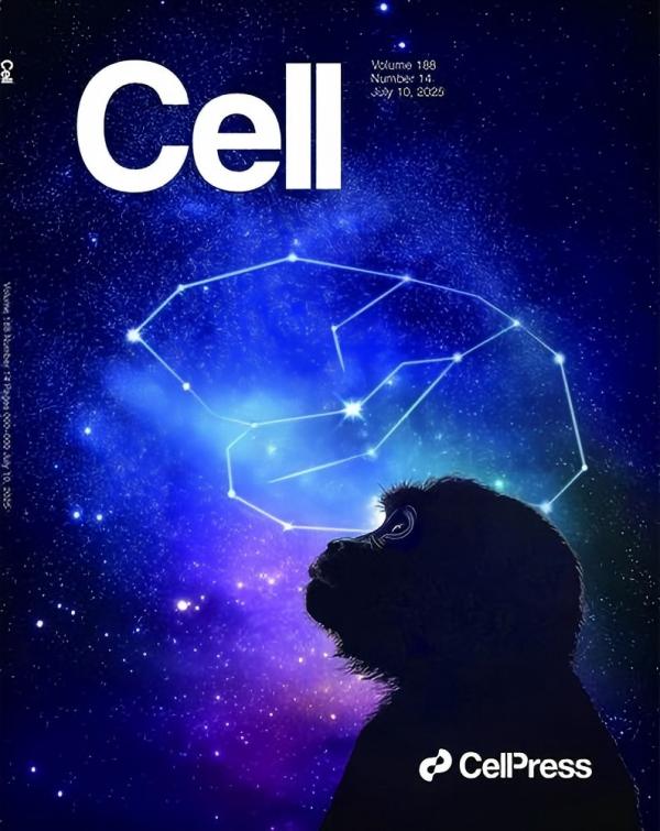 /uploads/image/2025/07/15/08f36ff0fe2070188bbd3c61e3f91acf.jpg ABF11BD9DAEC6ABB62BD56FFF5F_B07D2460_B299(1).jpg