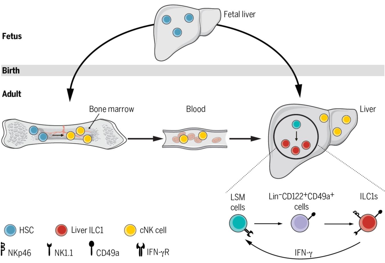 /uploads/image/2021/03/26/6ba7db869dd8edfb94d4d09ac9ddc3f8.png /uploads/image/2021/03/26/6ba7db869dd8edfb94d4d09ac9ddc3f8.png