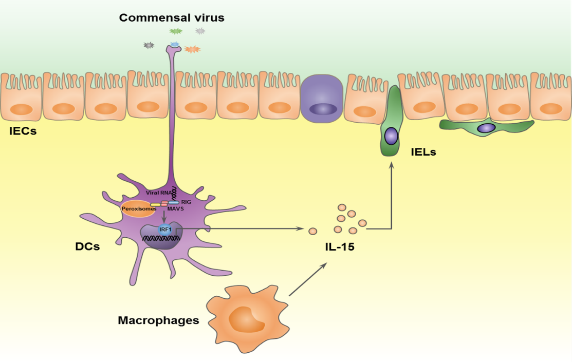 /uploads/image/2019/10/22/c876e0120f224b380354b04a0b7f5a76.png /uploads/image/2019/10/22/c876e0120f224b380354b04a0b7f5a76.png