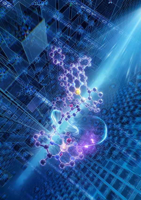 /uploads/image/2025/02/07/3b936bee032aa48e602e6c8b94fbe4ba.jpg /uploads/image/2025/02/07/3b936bee032aa48e602e6c8b94fbe4ba.jpg