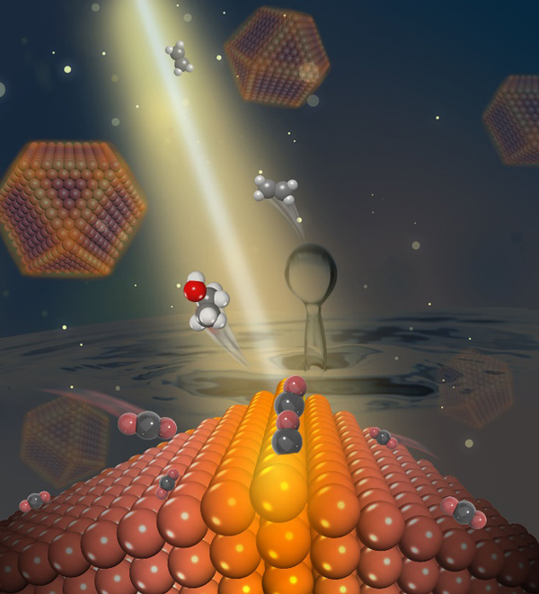 /uploads/image/2022/01/14/bc0c4226865748eeb40a9cfd811131ca.jpg 1.jpg