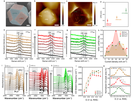 /uploads/image/2022/01/14/4cd93f23529307941a0d660724656ea6.jpg /uploads/image/2022/01/14/4cd93f23529307941a0d660724656ea6.jpg