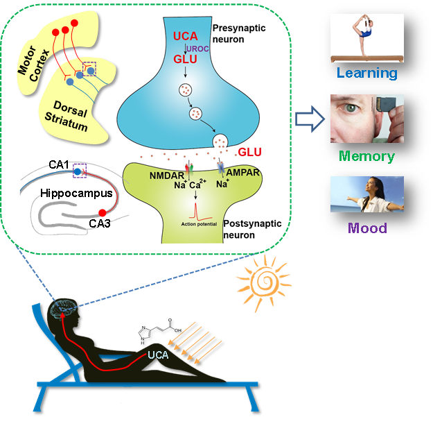 W020180519463095045375 W020180519463095045375