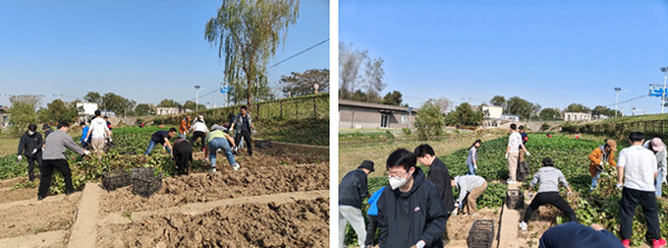 /uploads/image/2023/10/31/47a6539b05c42b4854880dd9331fec3f.jpg 2.jpg