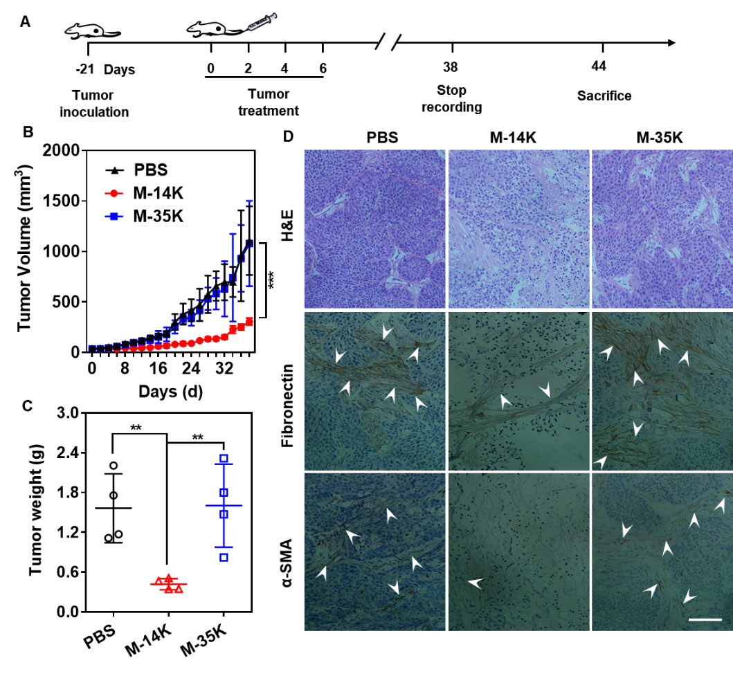 /uploads/image/2021/03/11/31855383fab61b28730549c2ded0ba11.jpg /uploads/image/2021/03/11/31855383fab61b28730549c2ded0ba11.jpg