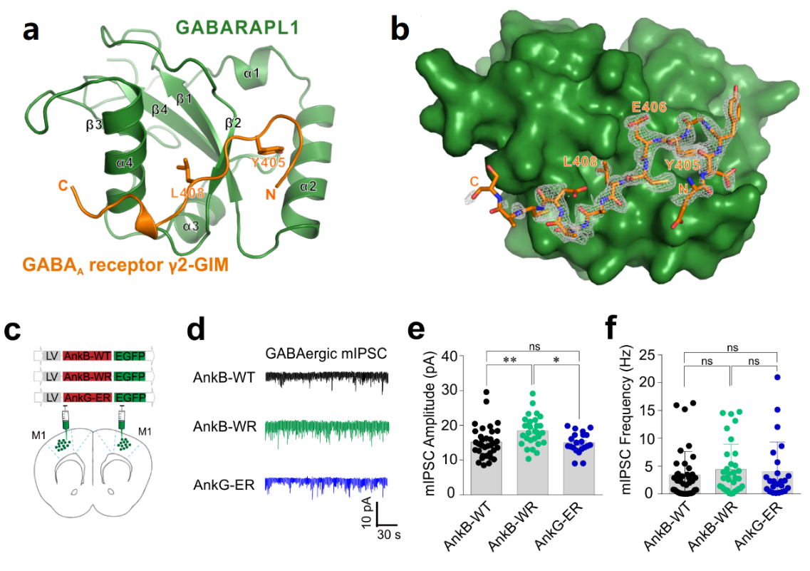 /uploads/image/2021/01/13/a9a16fc58462fad8c1d75a5aeeb82c72.png /uploads/image/2021/01/13/a9a16fc58462fad8c1d75a5aeeb82c72.png