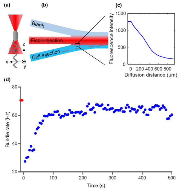 /uploads/image/2023/11/08/dd6bac25e12900f8039672d7a2c0d472.jpg 2.jpg