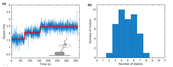 /uploads/image/2023/11/08/2508753f606824aa0cc9975ee8a44185.jpg 1.jpg