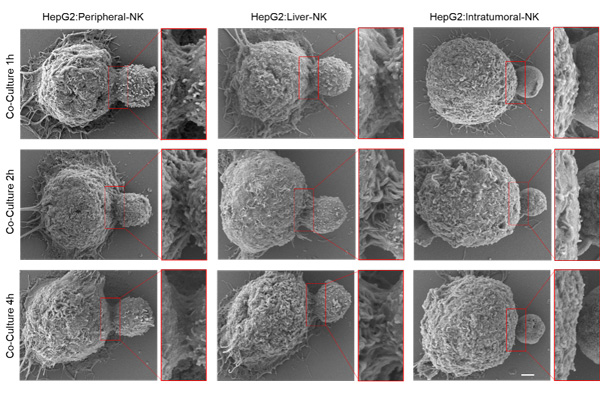 /uploads/image/2023/03/24/594cccea9c881cc2a1456f8de8e7ad37.jpg 2.jpg