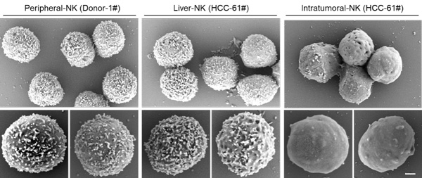 /uploads/image/2023/03/24/c357783fc68cb211025f7ae9e7a5265d.jpg 1.jpg