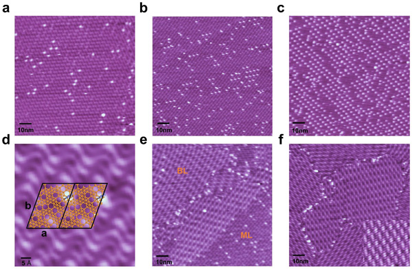 /uploads/image/2023/03/07/c113a24261b870288a371cb7efbc89bd.jpg 2.jpg