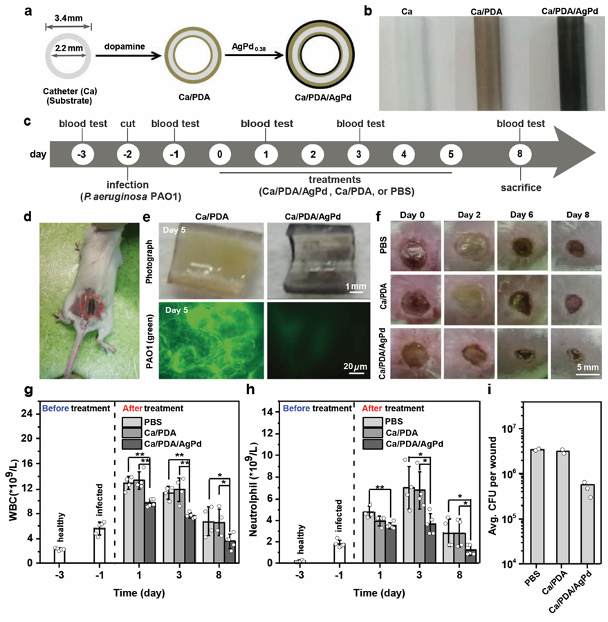 /uploads/image/2021/02/04/1f269d22d264baada34260a1bcd9bdf7.png /uploads/image/2021/02/04/1f269d22d264baada34260a1bcd9bdf7.png