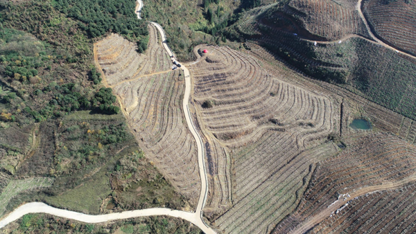 /uploads/image/2024/09/03/18cccf6d32add2b954876eeb826e4472.jpg 1.jpg