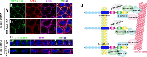 /uploads/image/2023/10/31/7f96439c9de42c93a089e71e39f8ab44.jpg 2.jpg