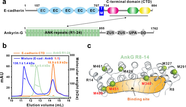/uploads/image/2023/10/31/1663d9b4b53dcb10f92bd596042ce7a0.jpg 1.jpg