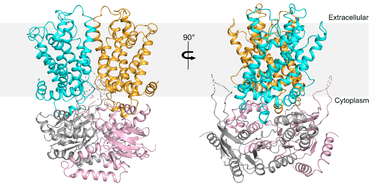 /uploads/image/2020/03/24/229ff56b052fa4b3dd137cc448291b81.png /uploads/image/2020/03/24/229ff56b052fa4b3dd137cc448291b81.png