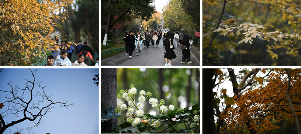 /uploads/image/2023/12/11/4dc9e120ebb66f60575dd4643395598a.jpg 5.jpg