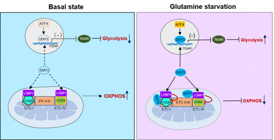 /uploads/image/2021/03/30/7e1e22c61124e3a778b52bf040cbe4bc.jpg /uploads/image/2021/03/30/7e1e22c61124e3a778b52bf040cbe4bc.jpg