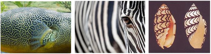 /uploads/image/2021/02/23/1ae227010bffd17643754a8f1159572a.jpg /uploads/image/2021/02/23/1ae227010bffd17643754a8f1159572a.jpg