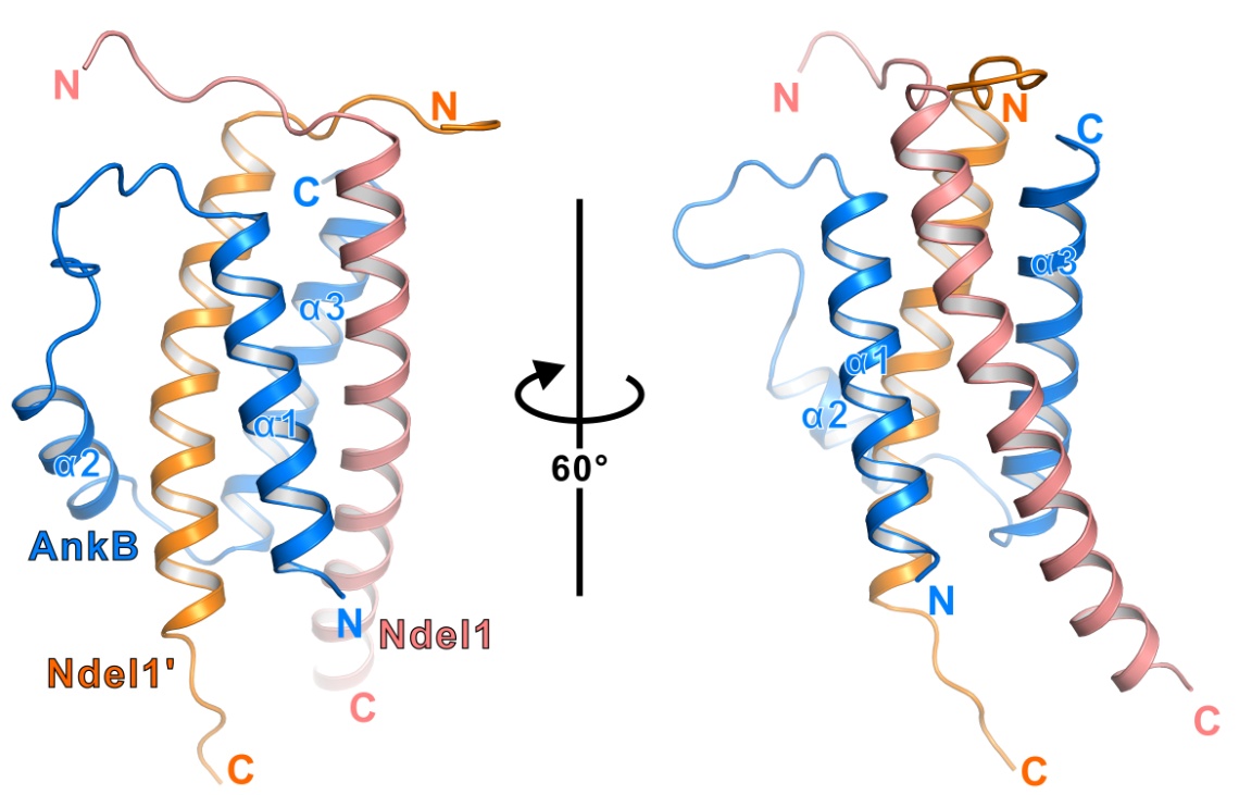 /uploads/image/2020/01/12/36900d49b0d473167d60c77d936db8d7.jpg /uploads/image/2020/01/12/36900d49b0d473167d60c77d936db8d7.jpg