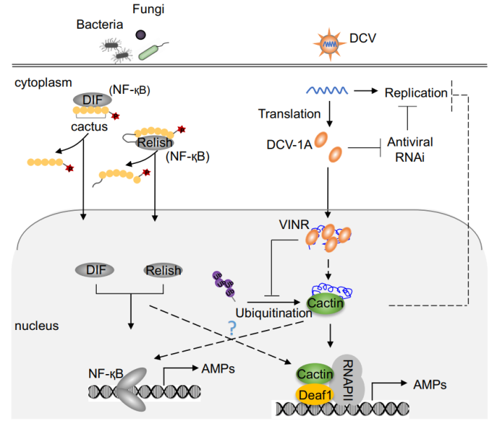 /uploads/image/2020/01/12/5c69cfa95e7eb5909682d2a7bffc9e28.png /uploads/image/2020/01/12/5c69cfa95e7eb5909682d2a7bffc9e28.png