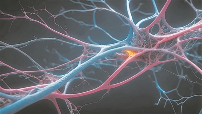 /uploads/image/2025/06/30/dd682c485721252845d34eac14f81706.jpg /uploads/image/2025/06/30/dd682c485721252845d34eac14f81706.jpg