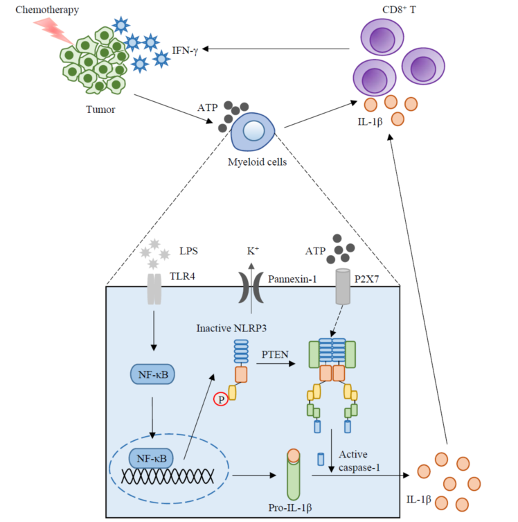 /uploads/image/2020/05/06/cd81bdb958875bb9879ec135fe2cd71c.png /uploads/image/2020/05/06/cd81bdb958875bb9879ec135fe2cd71c.png