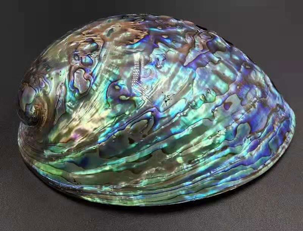 /uploads/image/2022/03/04/3a07dfeb9a4035709b0a3d69f61e1b84.jpg 2.jpg