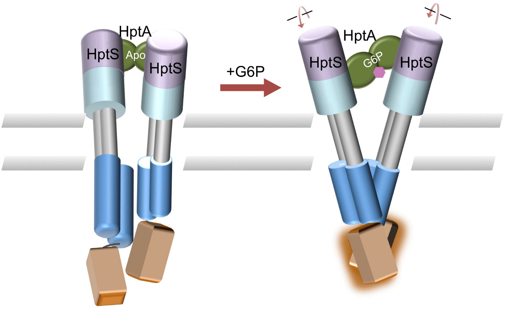 /uploads/image/2020/11/23/cc3601ec9527ef65427abc0ac369c10a.jpg /uploads/image/2020/11/23/cc3601ec9527ef65427abc0ac369c10a.jpg